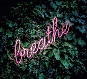 Pink neon sign saying breathe against a foliage background